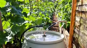 Rohrreinigung und Kanalreinigung 7 Regenwassersammlungstipps